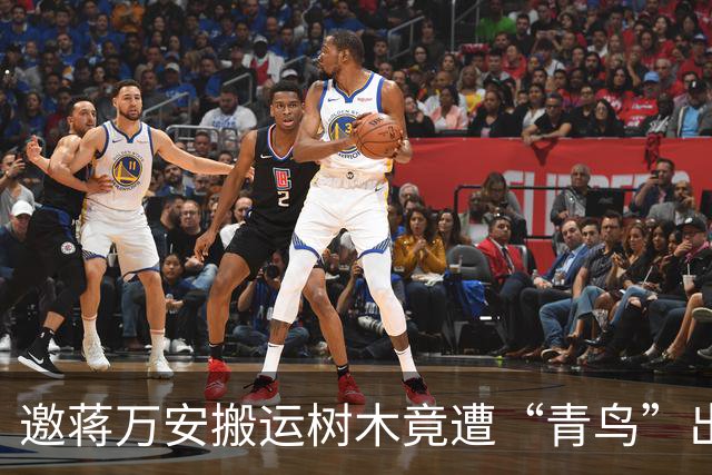 邀蒋万安搬运树木竟遭“青鸟”出征，清洁队长：我好内疚、很难过